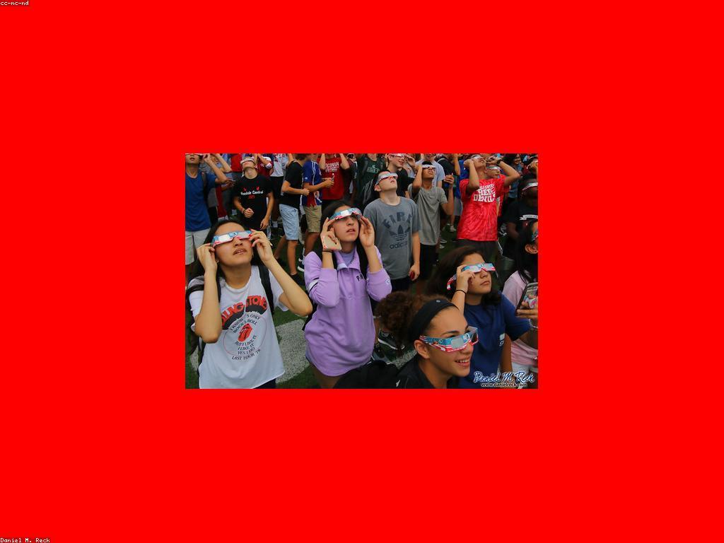 និន្ទានានានៃព័ត៌មានស្លតថ្មីៗ