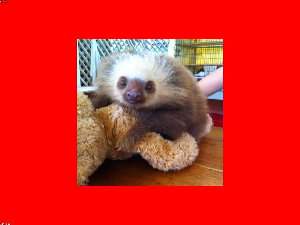 សារៈសំខាន់នៃការបណ្តុះបណ្តាលស្លត